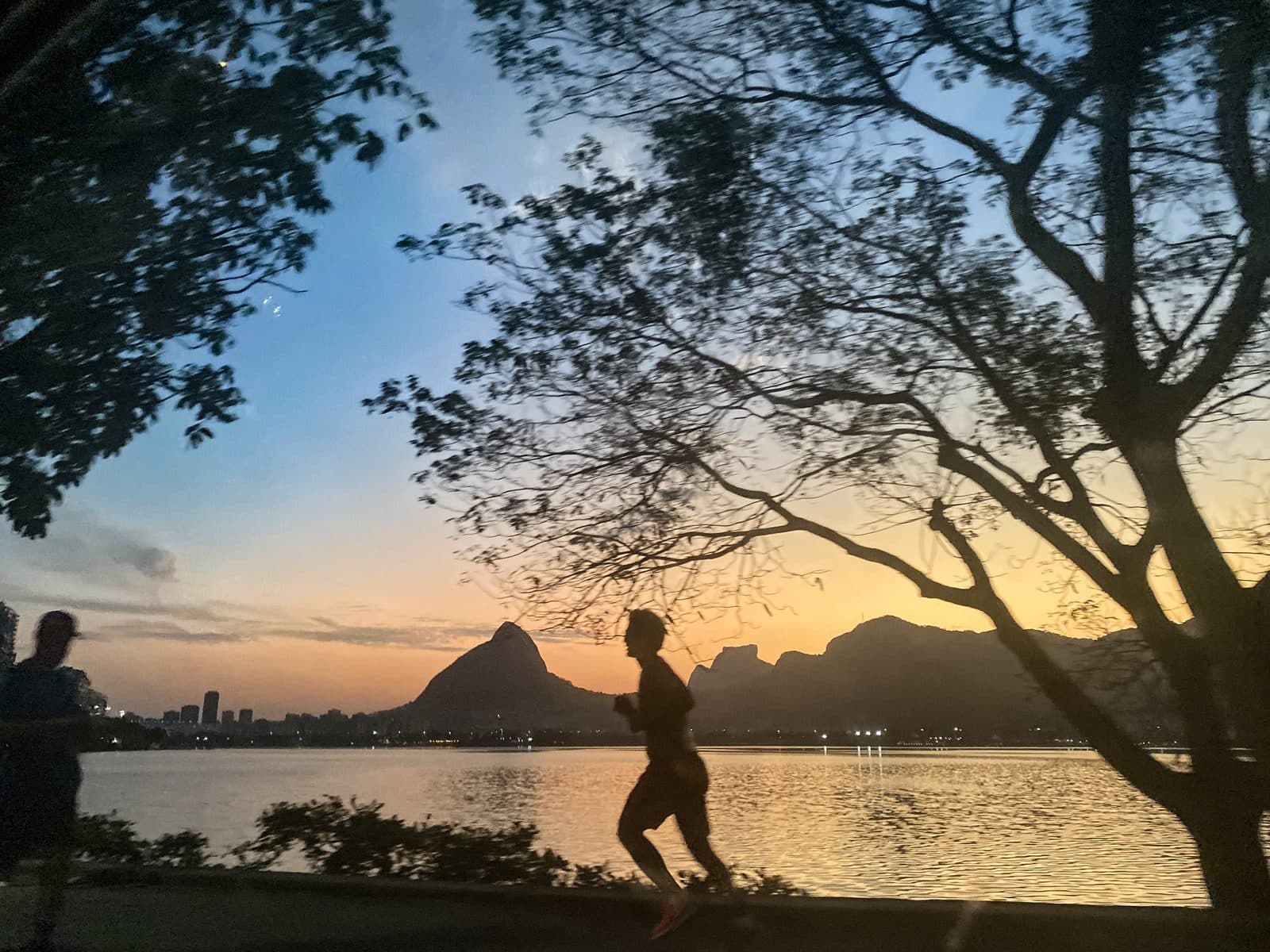 Árvore contra o céu