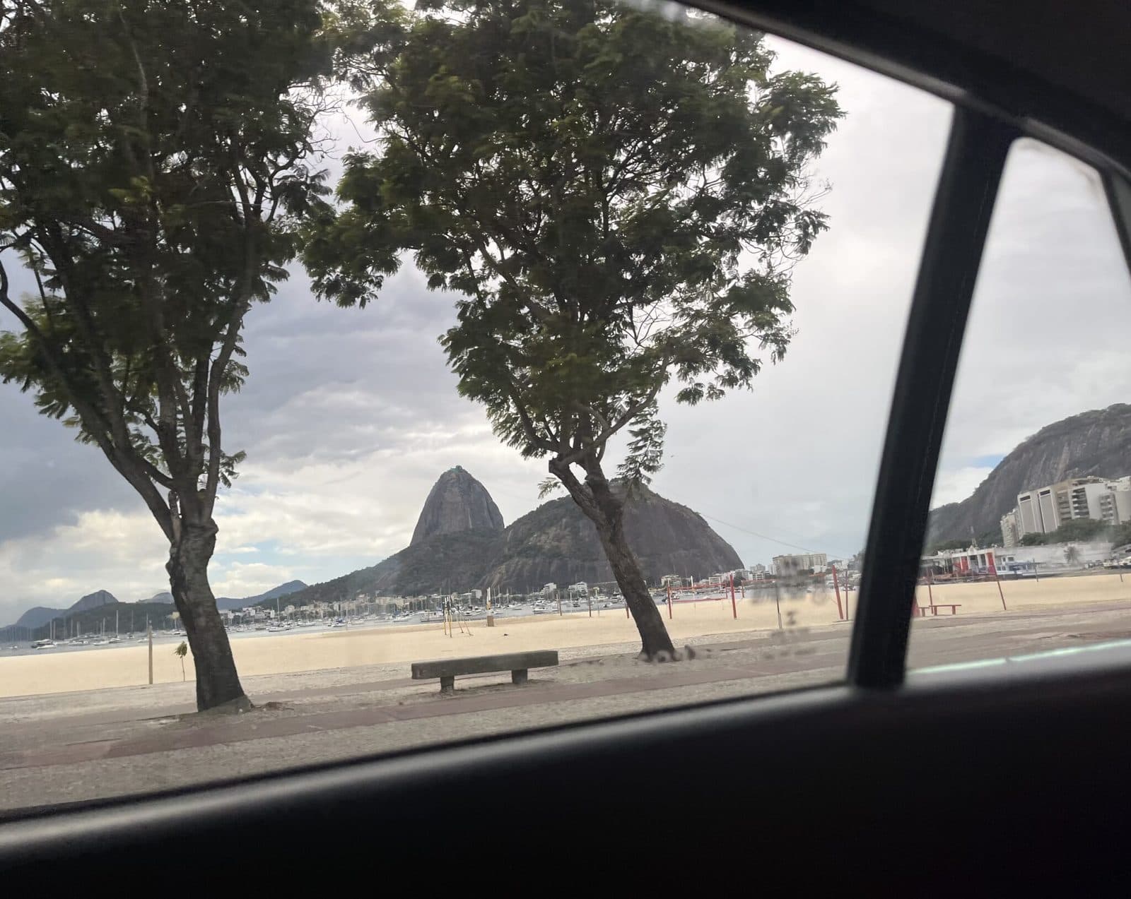 Vidro, árvore e estrada